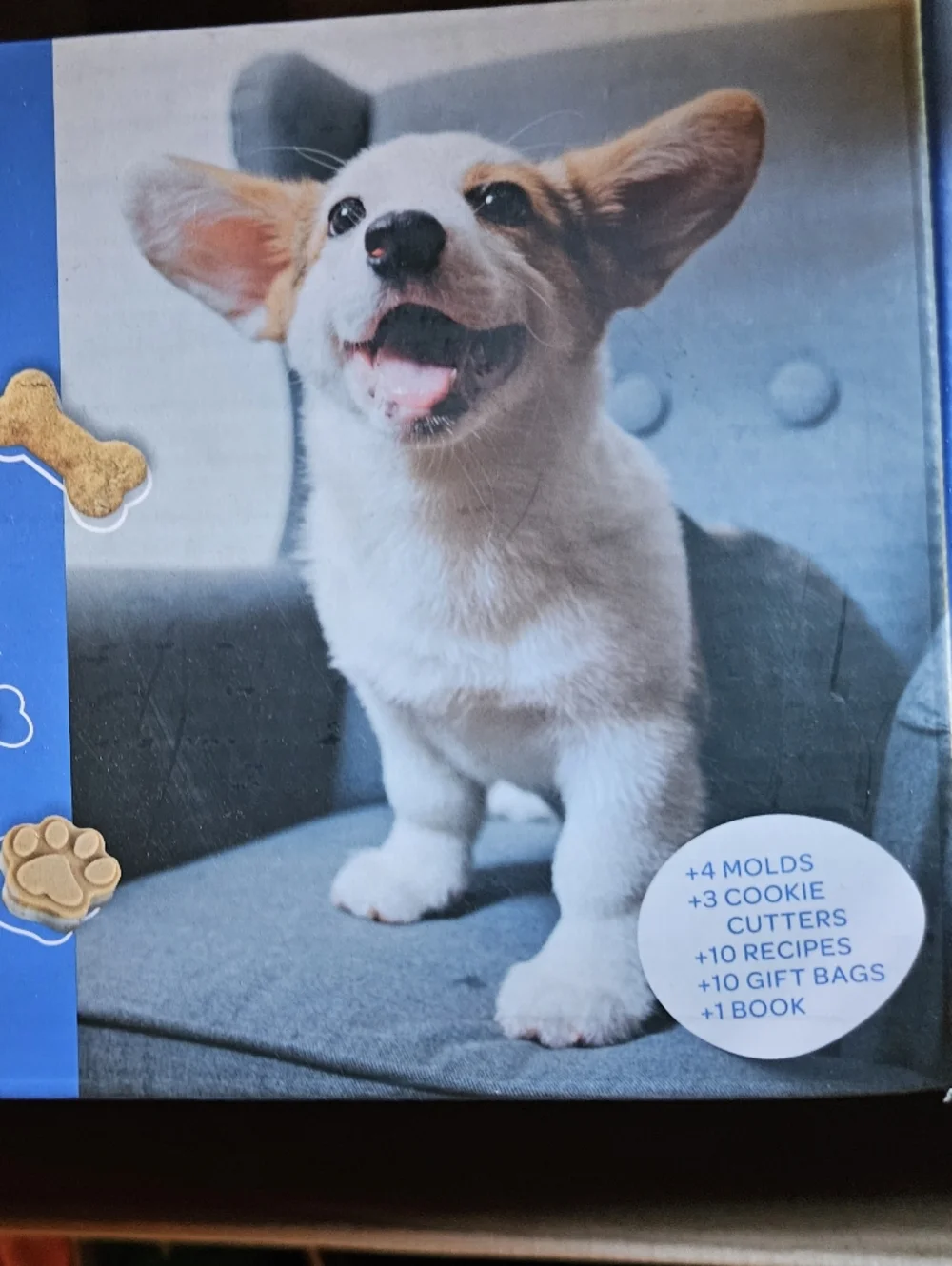 BoneItUp Dog Treat Recipe Kit — Blue Packaging with Colorful Recipe Cards
